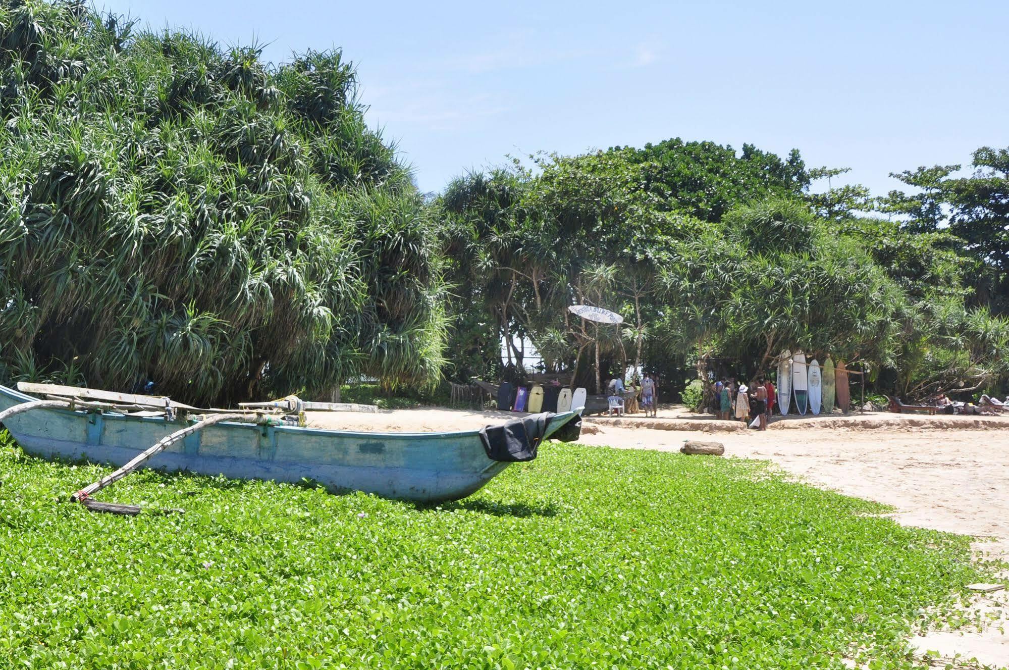 Chami Villa بينتوتا المظهر الخارجي الصورة